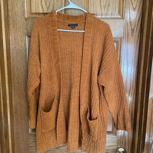 American Eagle Cardigan